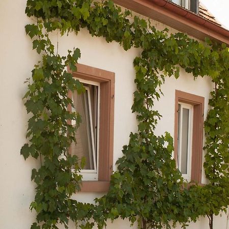 Ferienhaus am Künstleratelier Riegel Exterior foto